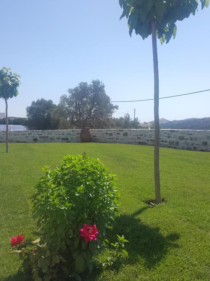 Villa Jodi Pitsidia Exteriér fotografie
